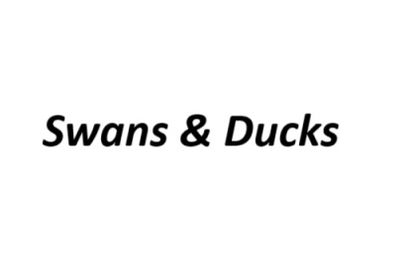 Waterfowl Objects