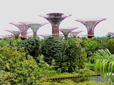 Pieces of Singapore
