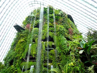 Lion City