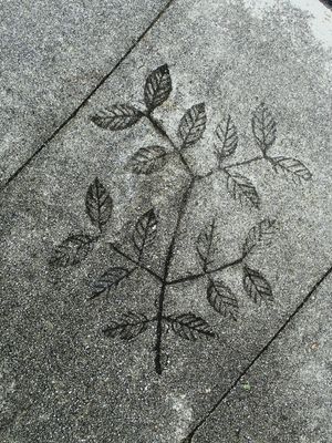 Outdoor Art Objects