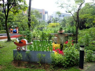 Pieces of Singapore
