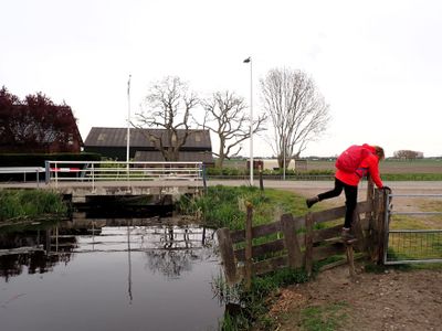 Stage 4: Over a fence