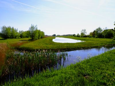 Stage 5: Vast polder