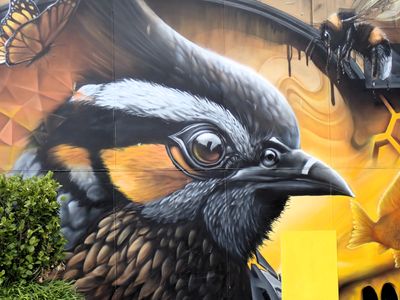 Pieces of Christchurch