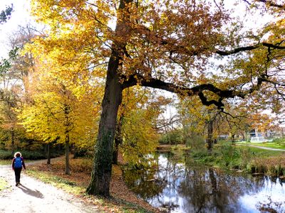 Marskramerpad (2024 & 2025)