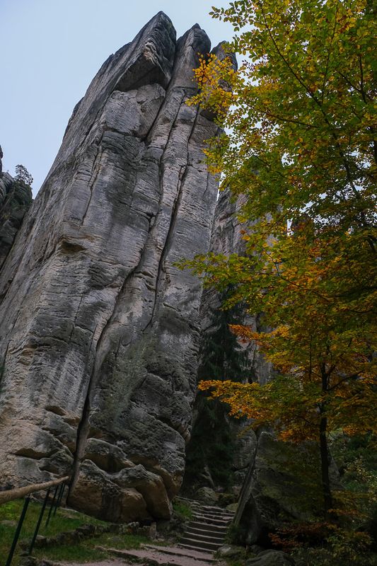 CZNA-6600.jpg