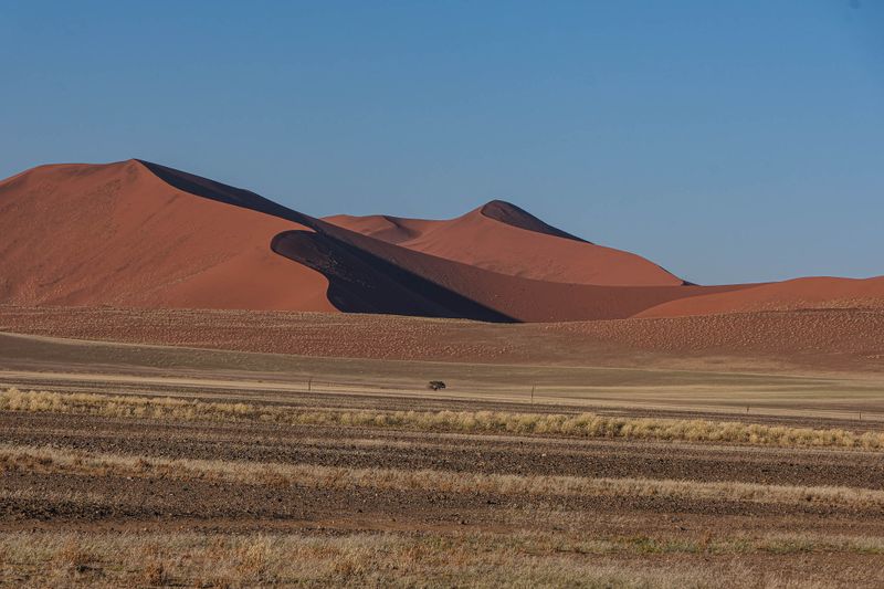 nm1-7624.jpg