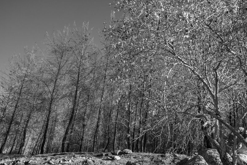 TP1-0382.jpg