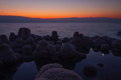 SALTY Dead Sea