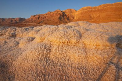 SALTY Dead Sea