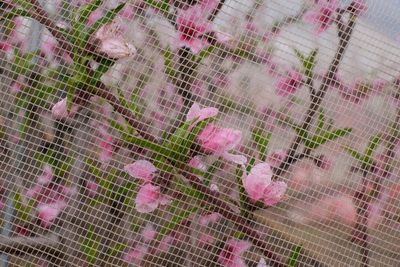 g13/58/730058/3/175256775.0c4a08a8.JPEG