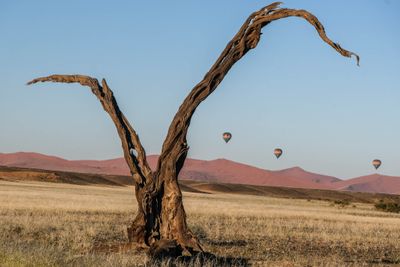 NAMIB DESERT