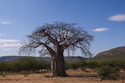 VIES in NAMIBIA
