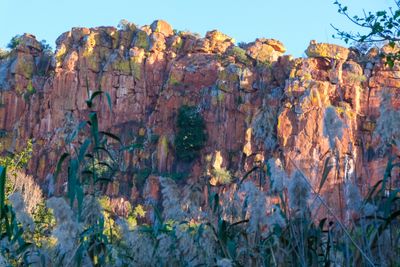 VIES in NAMIBIA