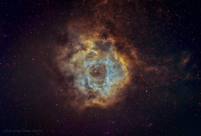 Rosette Nebula in HST Palette