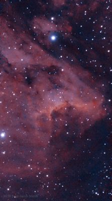 Ic5070, the pelican nebula