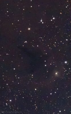 The boogeyman nebula (lnd1622)