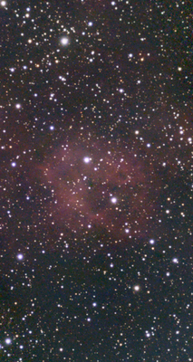 Lower nebula