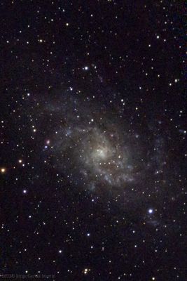 M33 galaxy