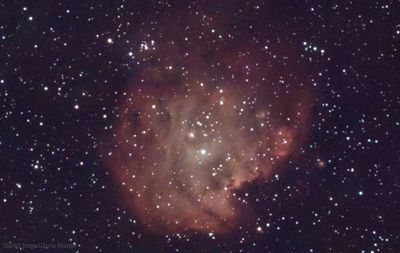 Ngc-2175, the monkey head nebula