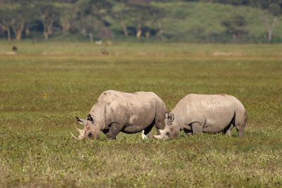 Tanzania 2025