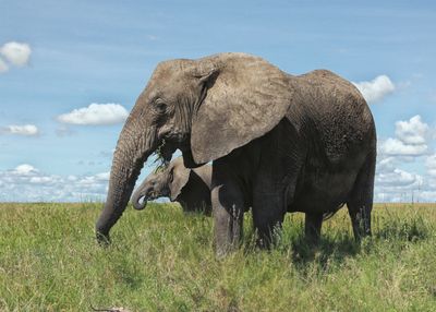 Tanzania 2025