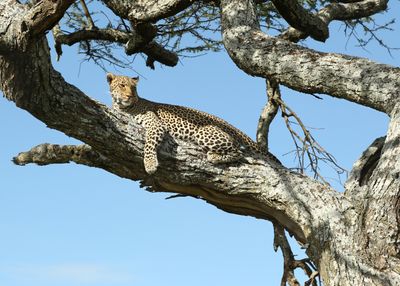 Tanzania 2025