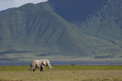 Tanzania 2025