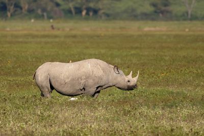 Tanzania 2025