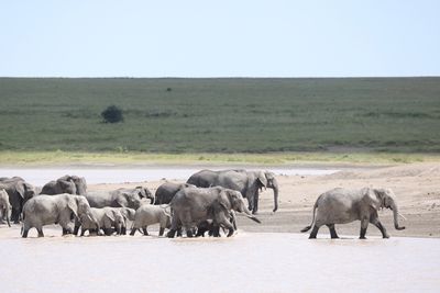 Tanzania 2025