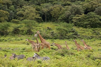 Tanzania 2025
