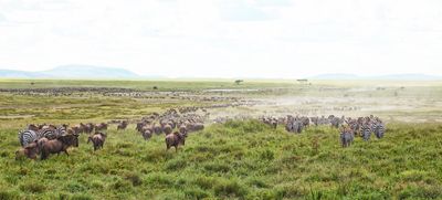 Tanzania 2025