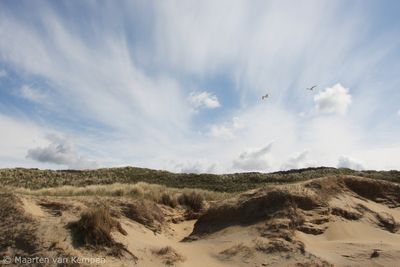 Dunes