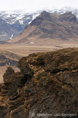 Reynisfjara