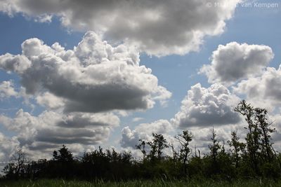 Dutch landscapes