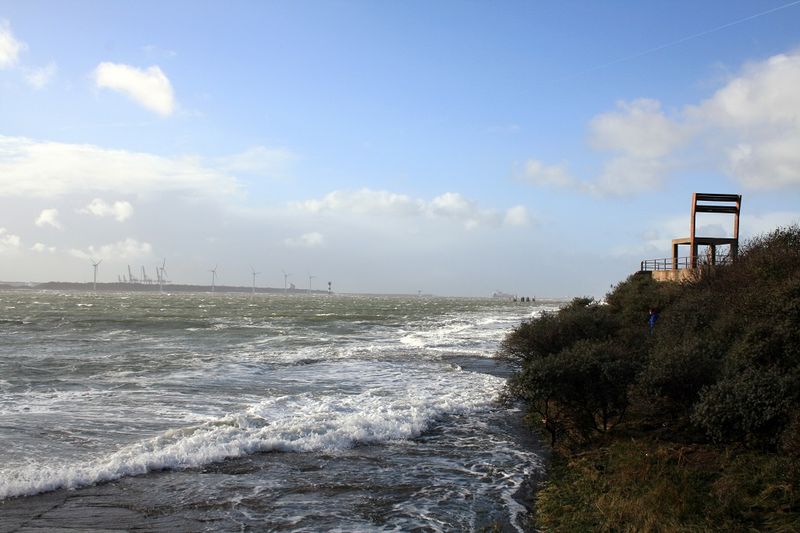 Maesland_0509