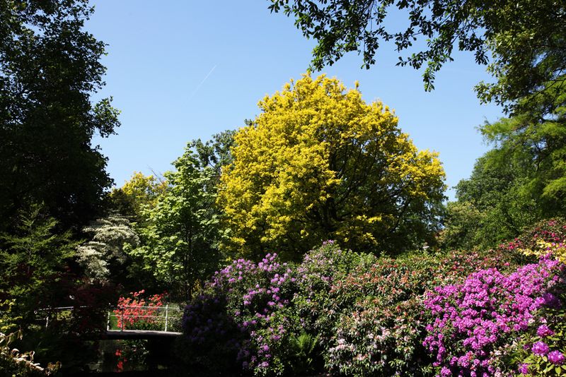 Trompenburg_2019