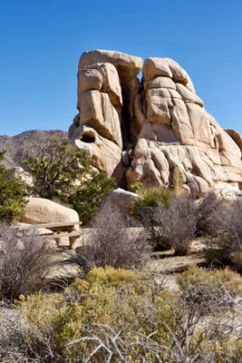 Joshua Tree Nat Park 5