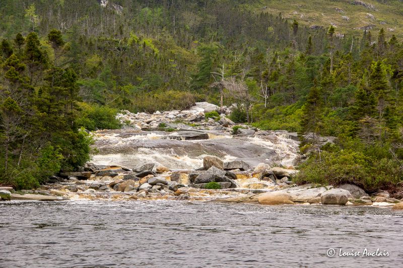 _MG_8584.jpg