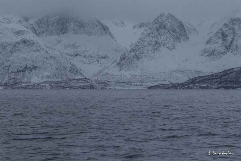 _MG_1874.jpg