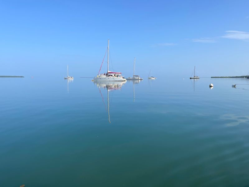 IMG_3545.jpeg