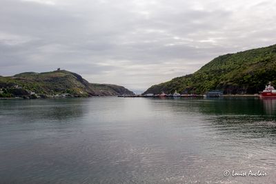 Terre-Neuve-et-Labrador
