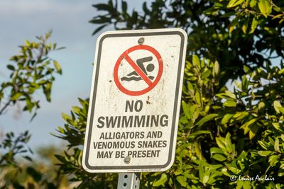 _MG_6139.jpg