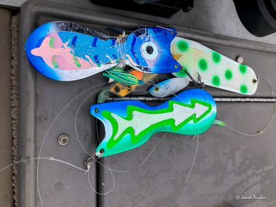 g13/59/1059159/3/173778872.17eccea6.JPEG