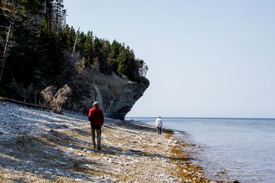 _MG_0296.jpg