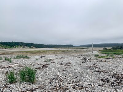 IMG_4467.jpg