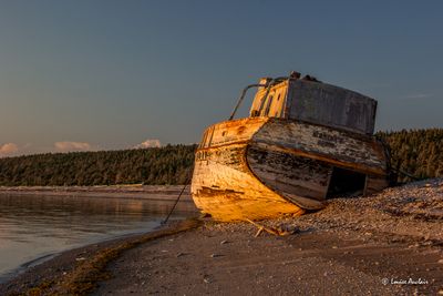 _MG_0483.jpg