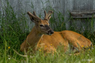 _MG_7091.jpg