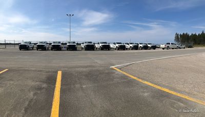 Les camionnettes sont prêtes pour les prochains visiteurs