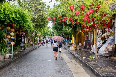 _MG_2522.jpg